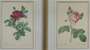 Konvolut aus 7 Druckgraphiken mit Pferde- und anderen Tiermotiven