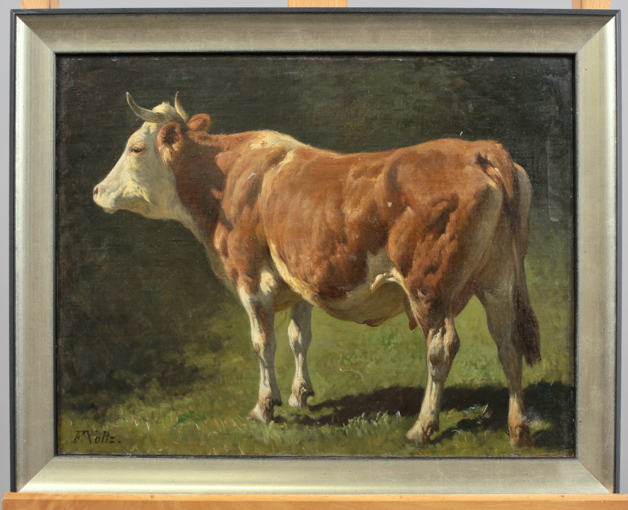 Voltz, Friedrich Johann