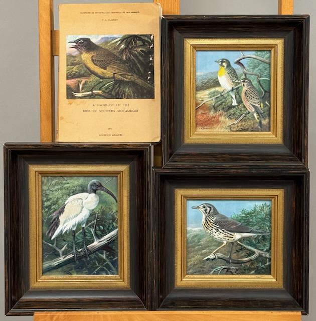 Phillip Alexander Clancey (1917 Glasgow - 2001 Durban), Konvolut aus 3 Vogel-Darstellungen und zugehörigem Publikationswerk